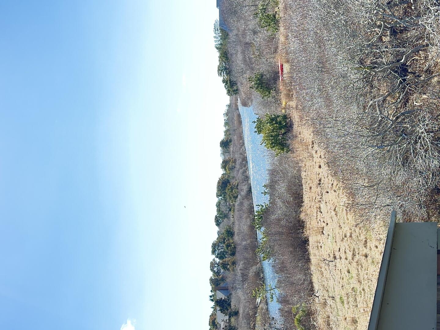 Fly Inn photo 18