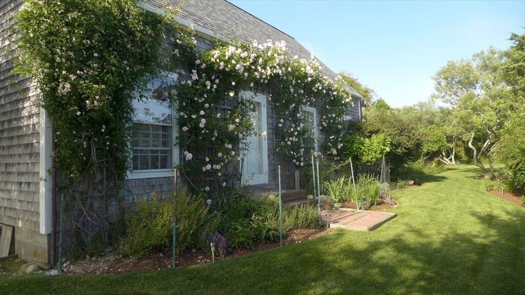 Photo of Nantucket vacation rental property at 11 Meeting House Lane Siasconset, MA 02564