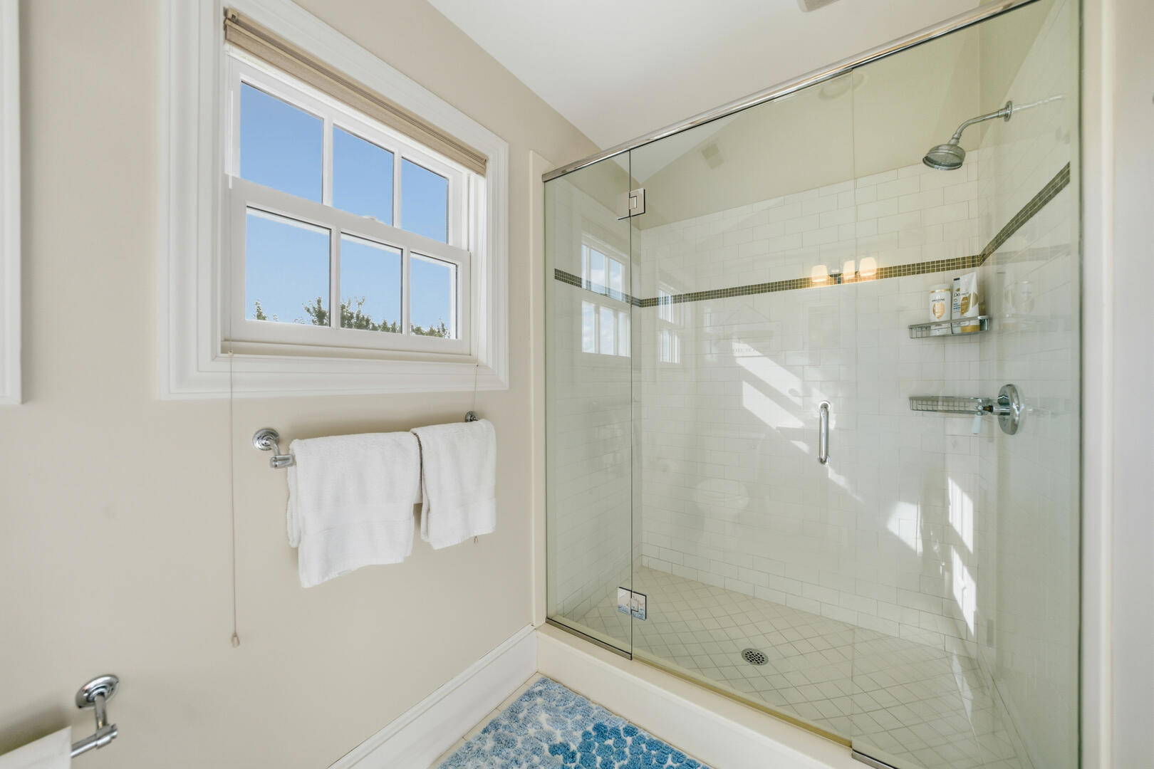 Homeward Bound photo 44