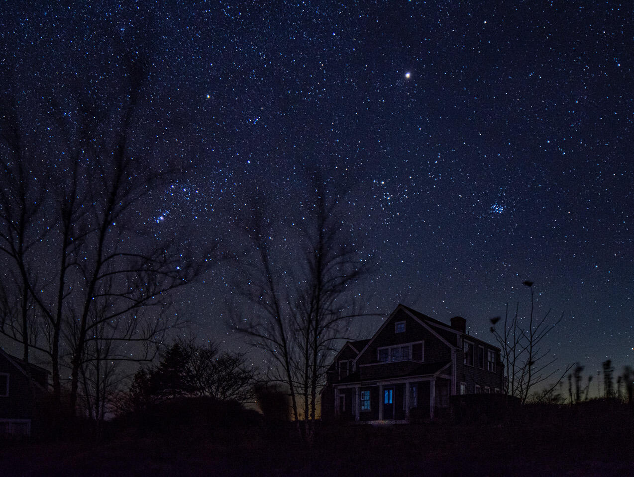 Homeward Bound photo 53