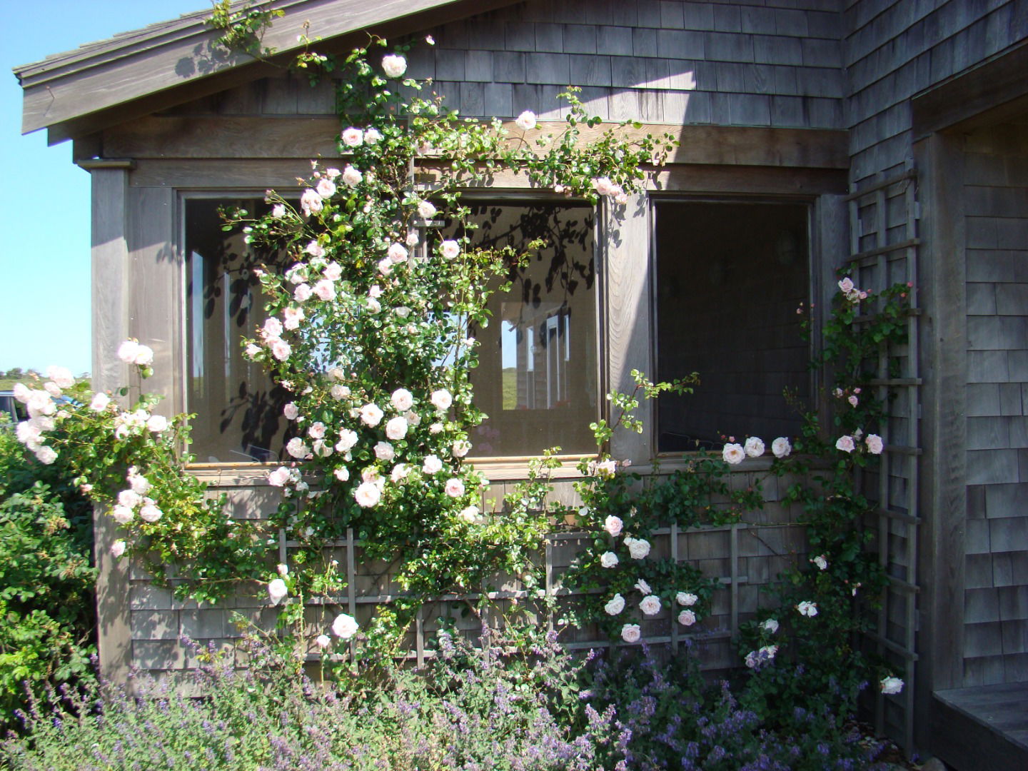 36 Sheep Pond Road photo 6