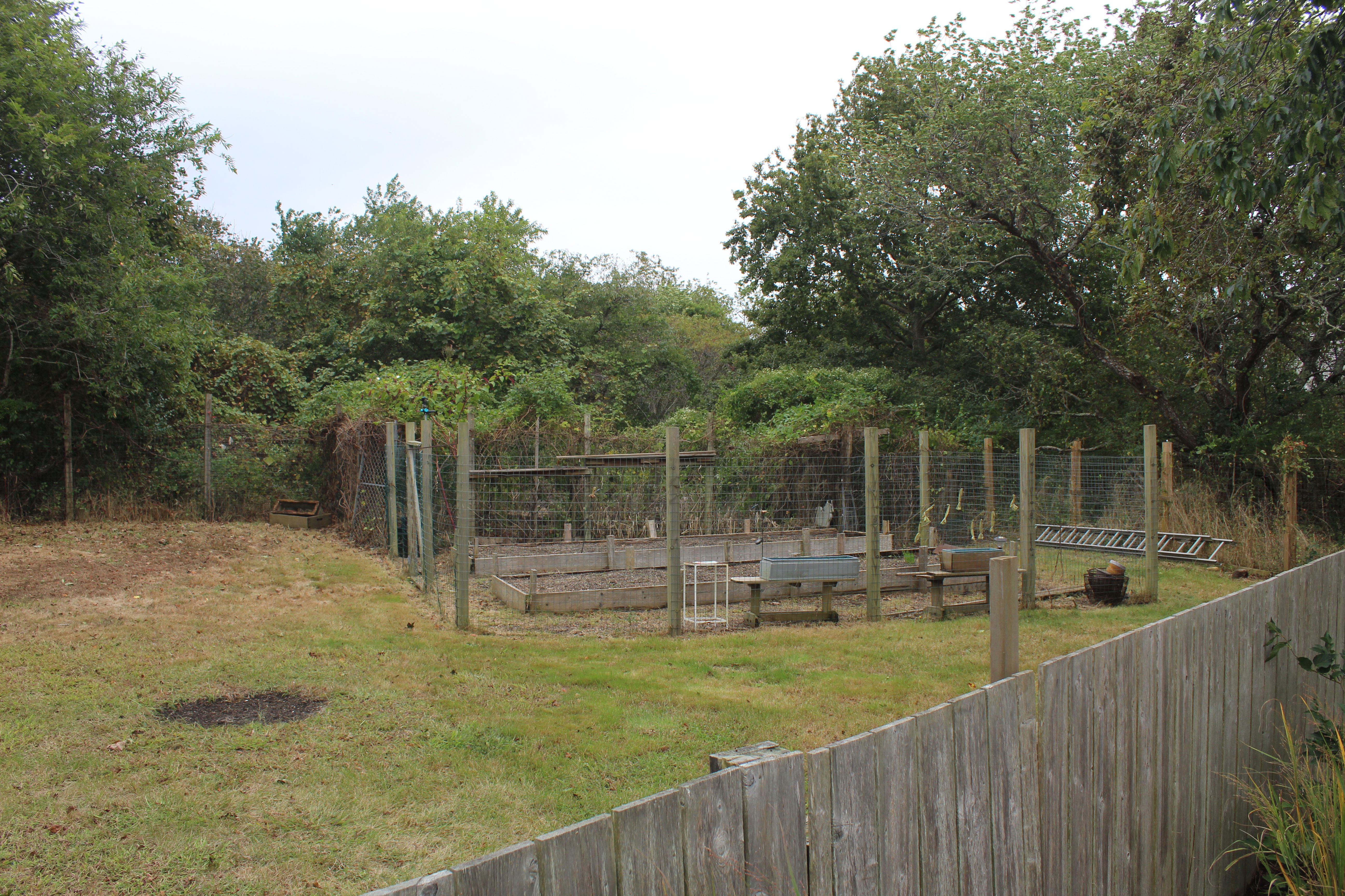 12 Oak Hollow Lane photo 5