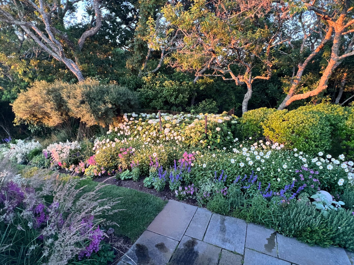 258 Polpis Road photo 34