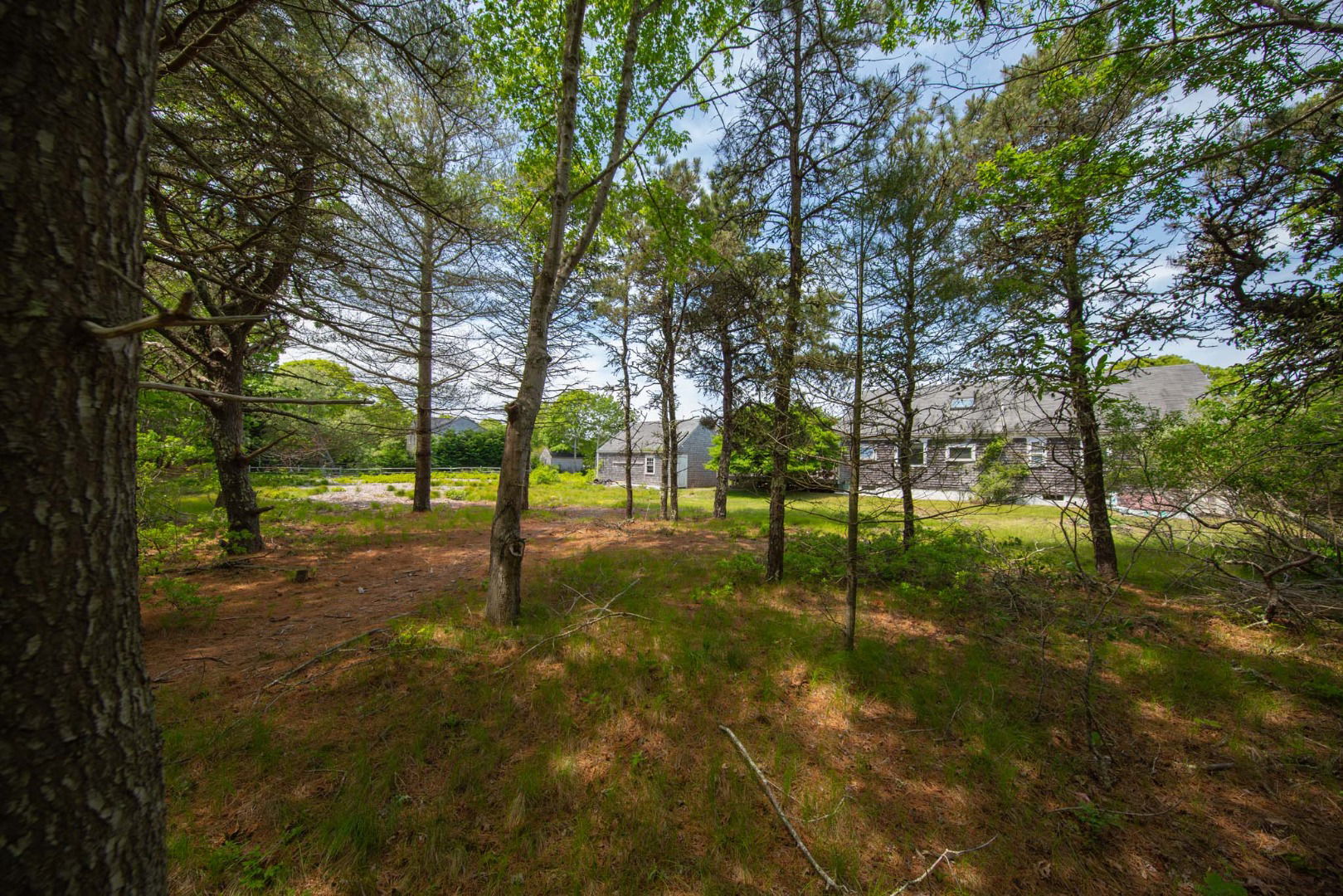 7 Dooley Court photo 5