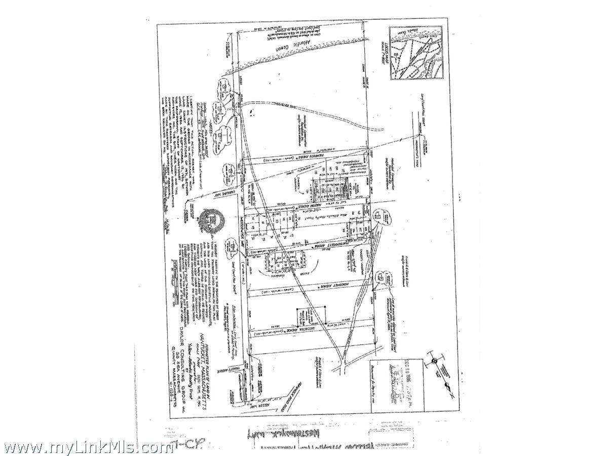 6 Marion Avenue photo 19