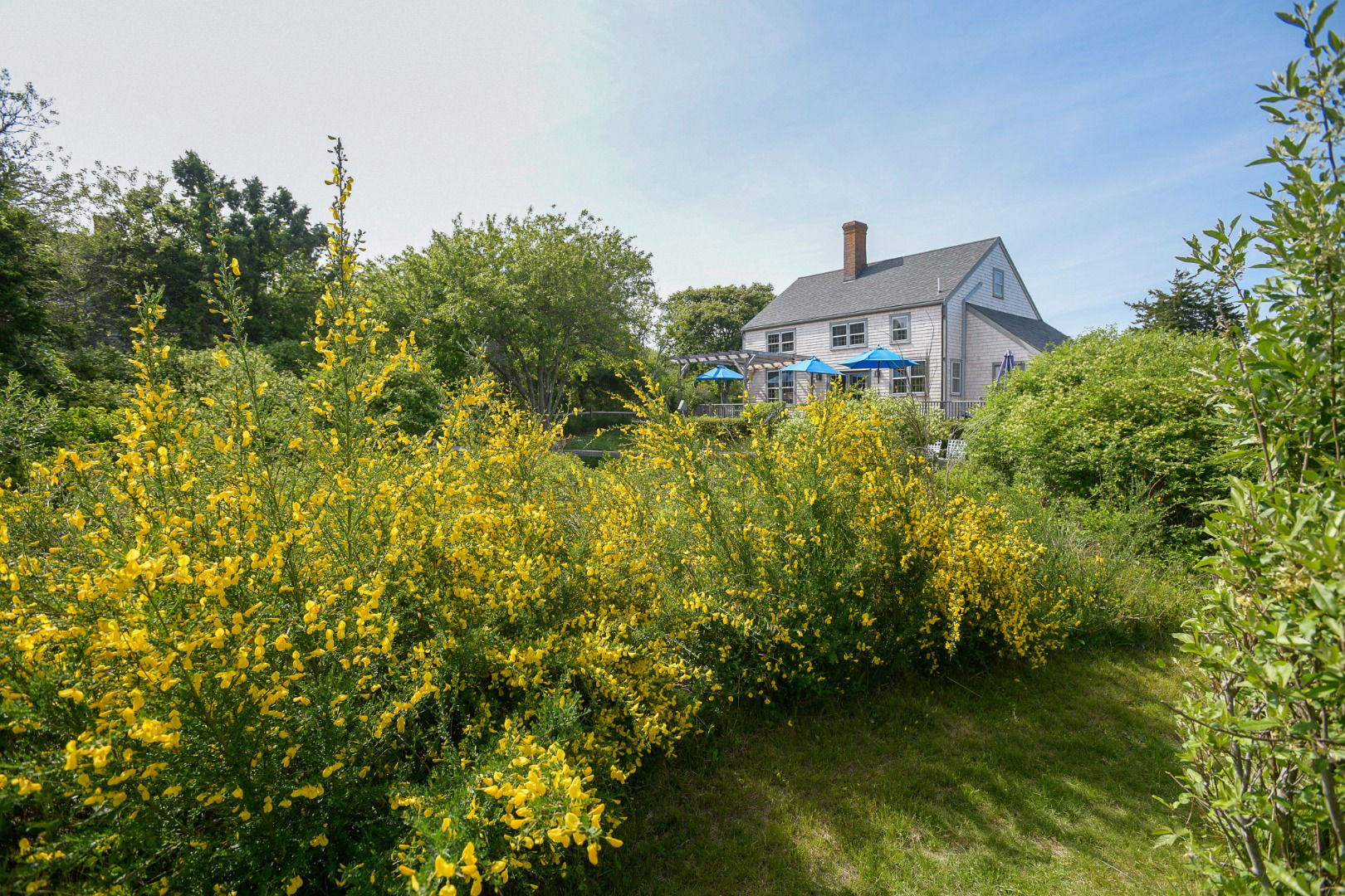 198 Hummock Pond Road photo 11