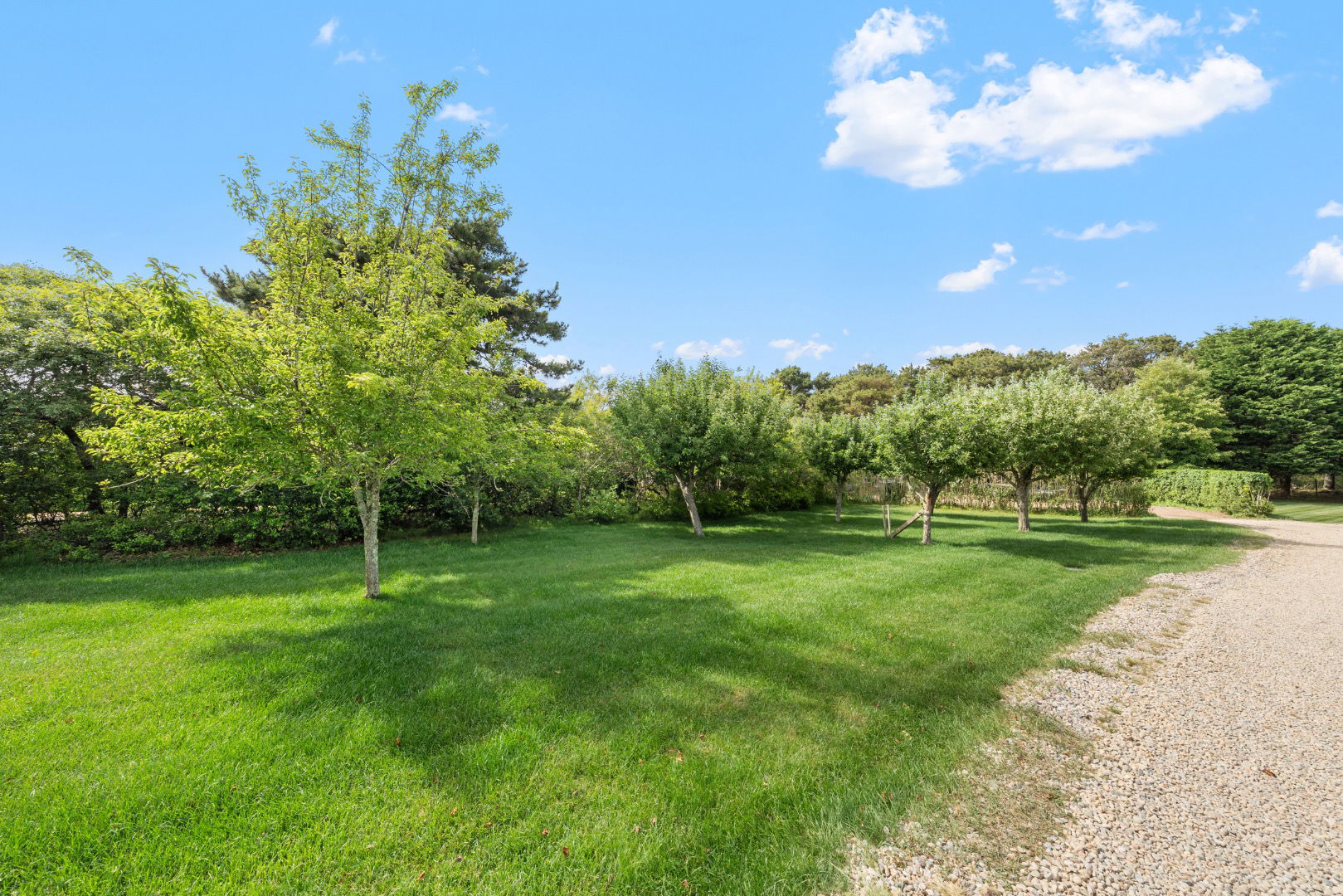 12 Longwood Drive photo 18
