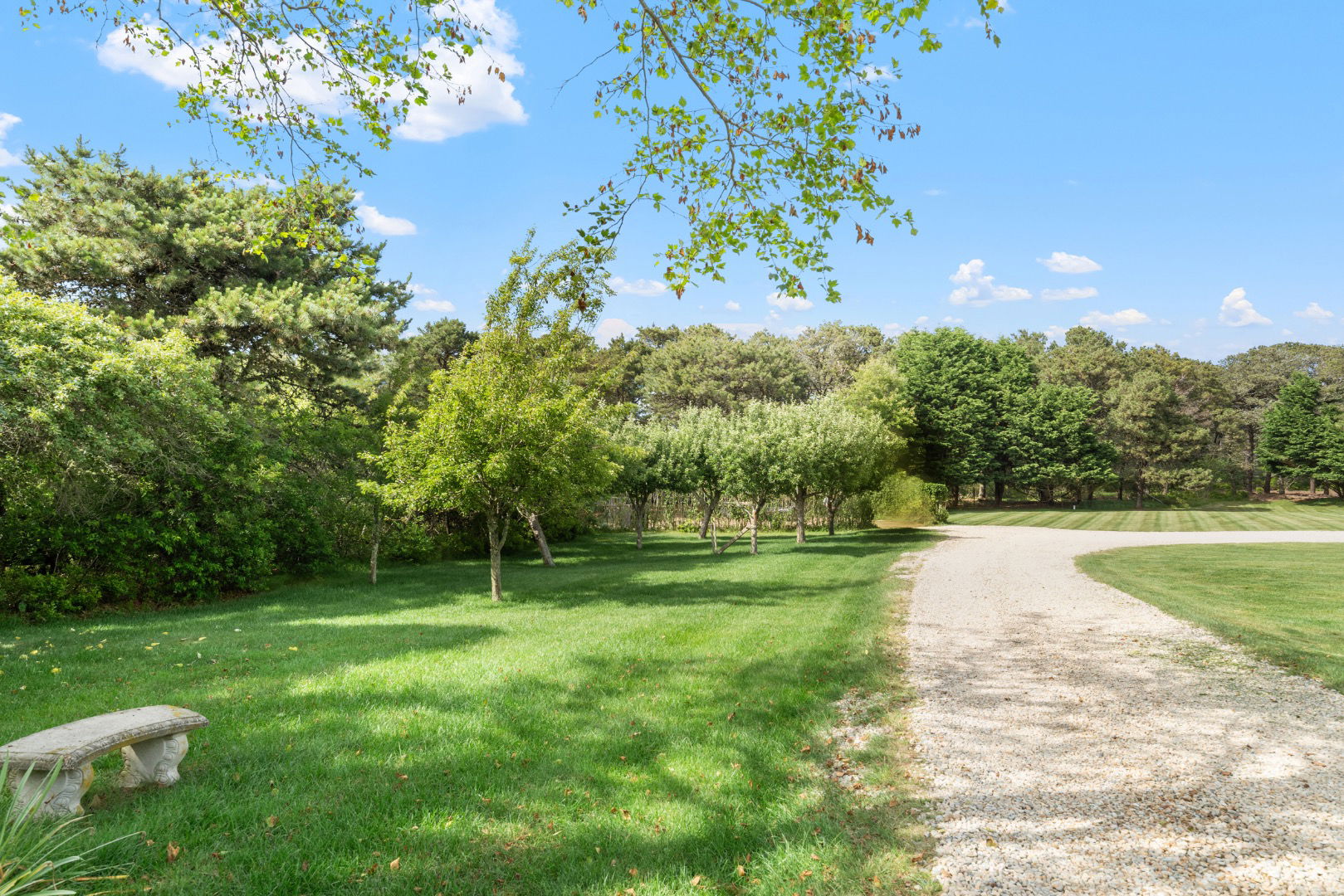 12 Longwood Drive photo 19