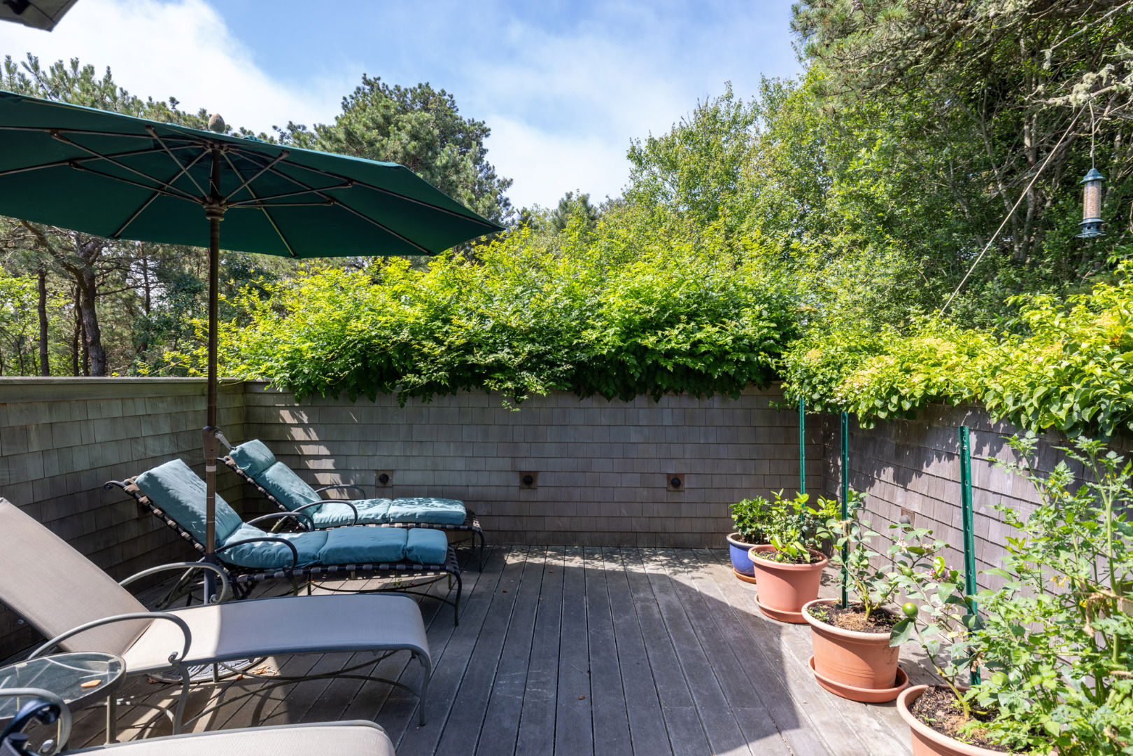20 Evergreen Way photo 12