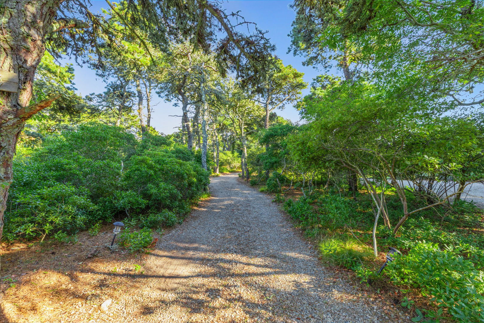 25 Pond View Drive photo 6