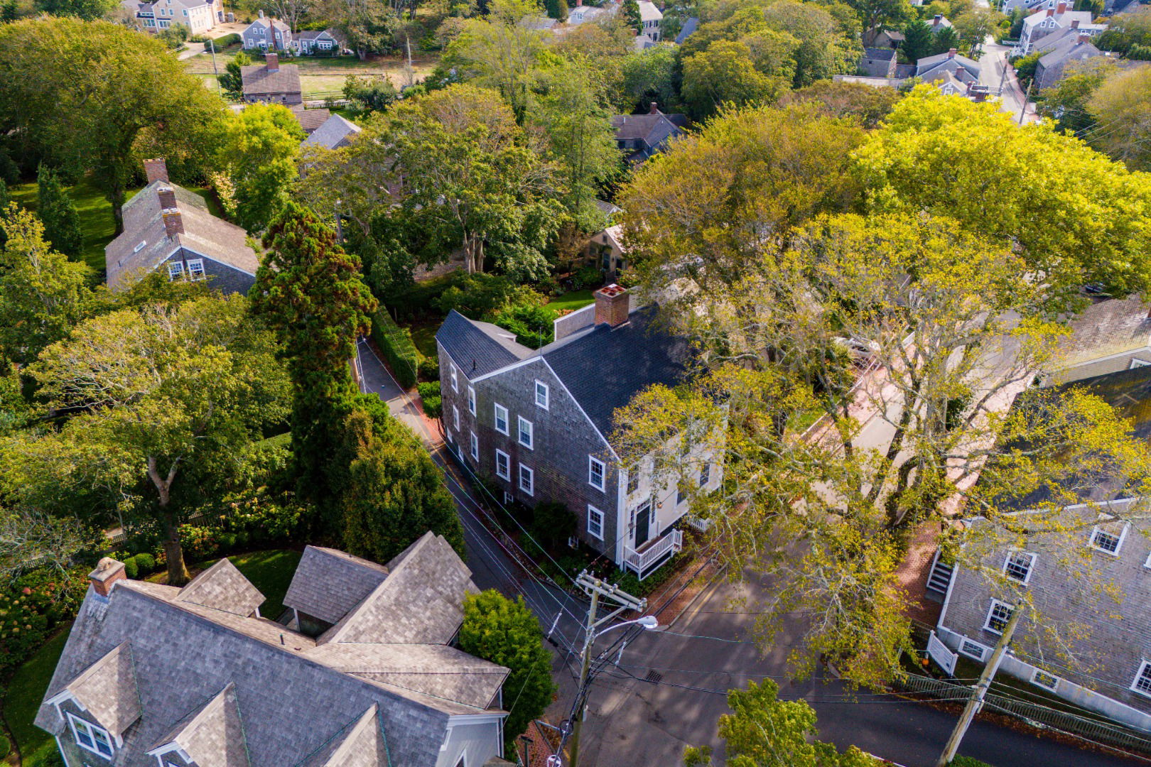 10 Milk Street photo 3